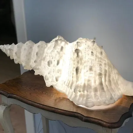 Siwa Experience Διαμέρισμα Άντζιο