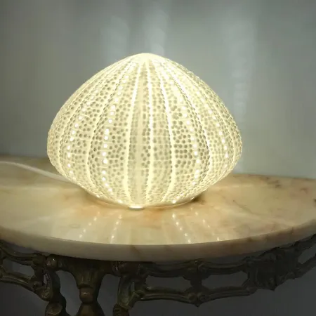 Διαμέρισμα Siwa Experience *