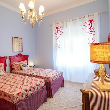 Siwa Experience * Anzio